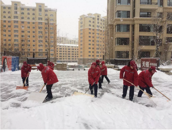 金泰物业各项目大雪天坚持工作(图6)