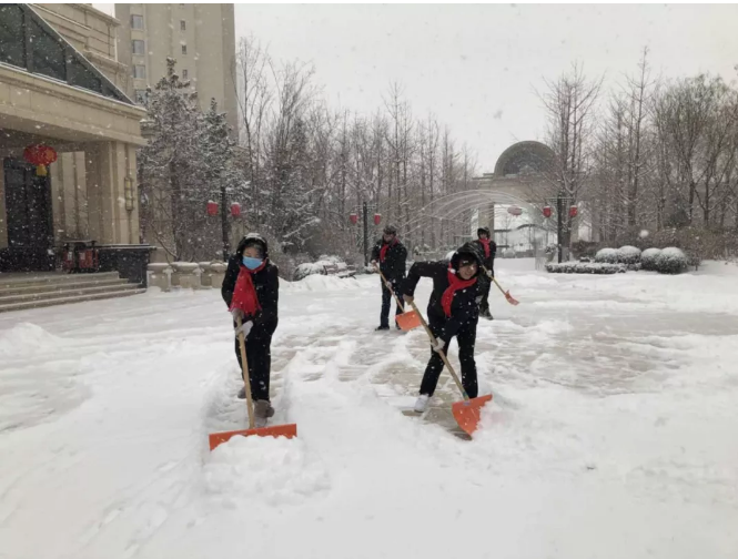 金泰物业各项目大雪天坚持工作(图5)