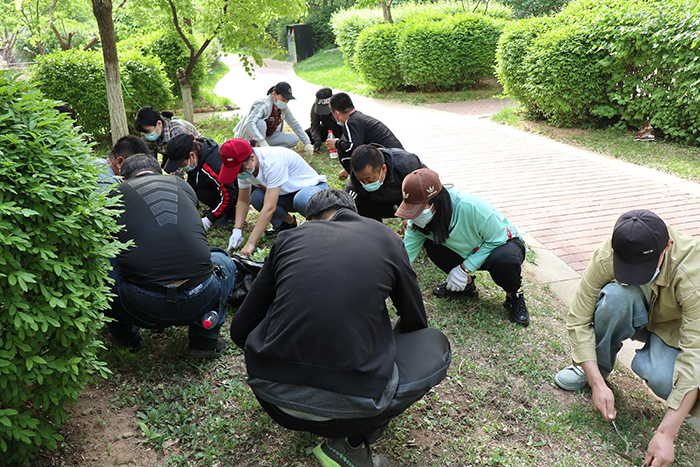 五四青年节，金泰物业组织青年员工义务劳动(图2)